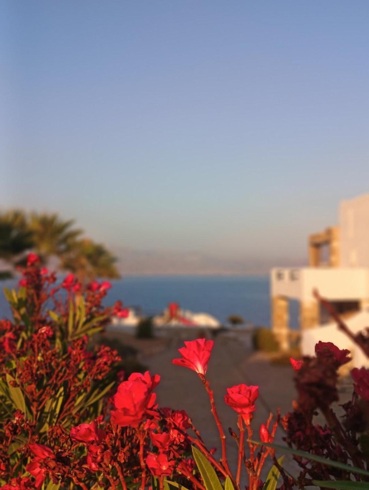 Ενοικιαζόμενα Δωμάτια Αύρα Λογαράς Εξωτερικό φωτογραφία